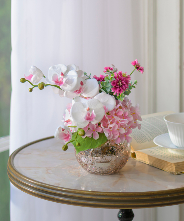 ファレノプシスリップピンクL26