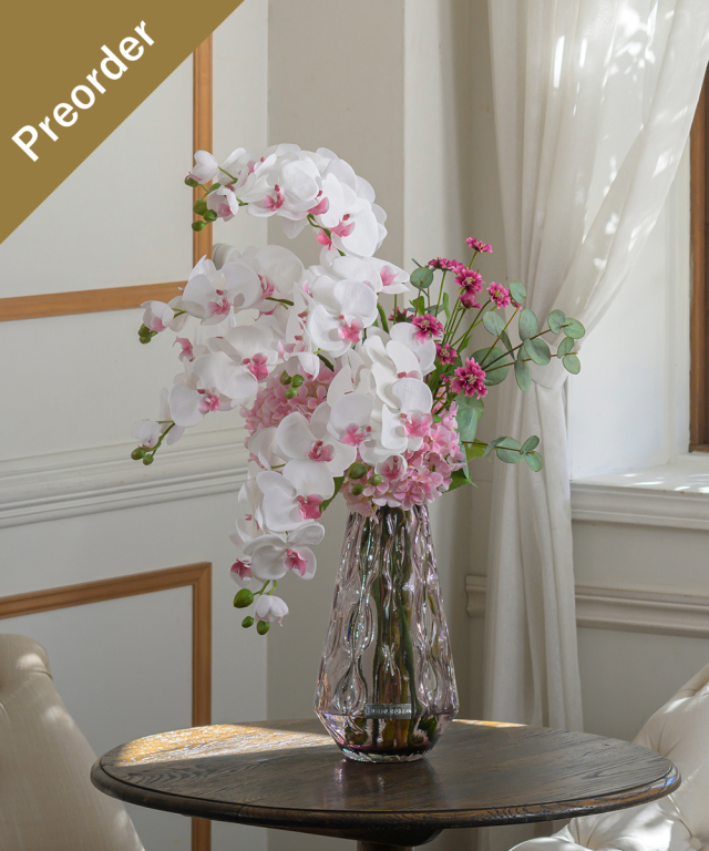 【先行予約】ファレノプシスリップピンク4L26