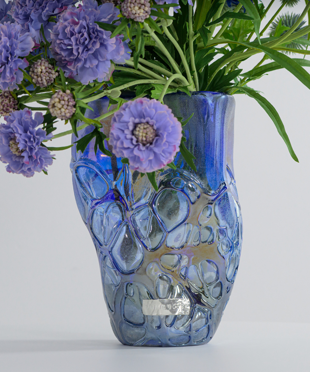 売*郎様 オークション【鉢ごと発送】特選　REZA産　双頭　アガベ　Rose ロ 売*郎様 オークション【鉢ごと発送】特選 REZA産 双頭 アガベ