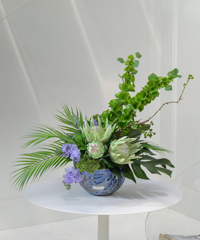 キングプロテア4L25