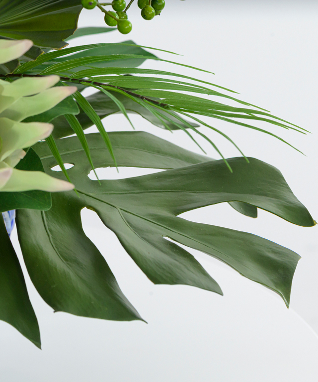 エミリオロバ　多肉植物の寄せ植え（╹◡╹）♡ エミリオロバ 多肉植物の寄せ植え（╹◡╹）♡ エミリオロバ