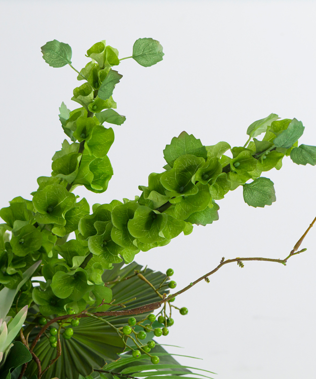 エミリオロバ 多肉植物の寄せ植え（╹◡╹）♡ その他多肉植物