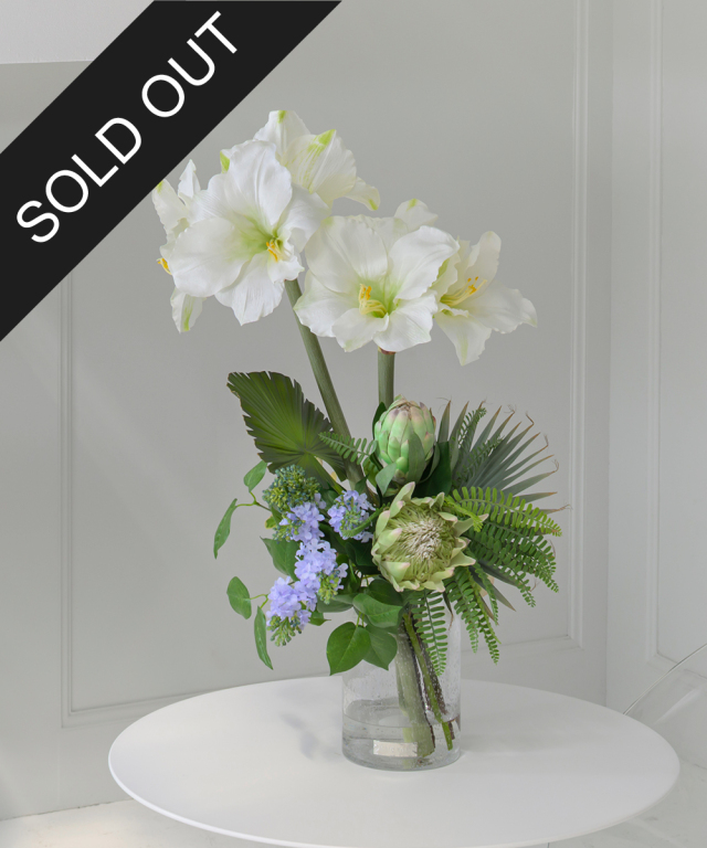 プロテア＆アマリリス3L25