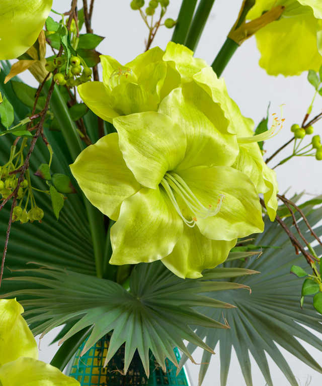 EMILIO ROBBA(エミリオロバ) アマリリス その他｜アーティフィシャル