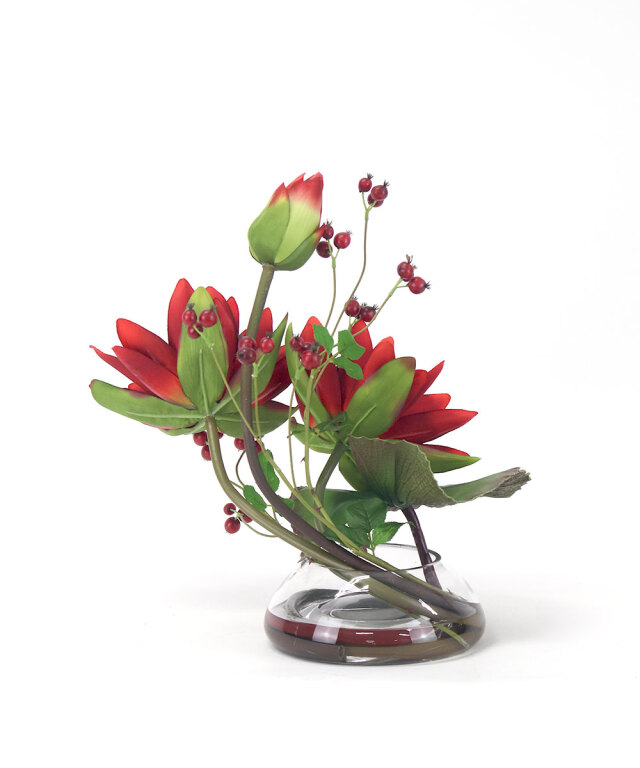 EMILIO ROBBA プリマローズ2L-y EMILIO ROBBA プリマローズ2L-y EMILIO ROBBA プリマローズ2L-y