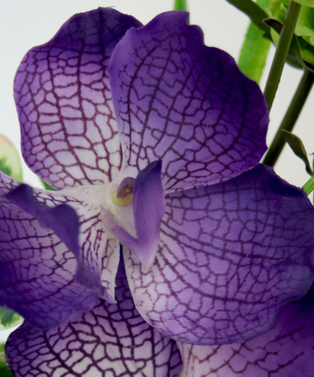 バンダL アーティフィシャルフラワー 造花 仏花 供花