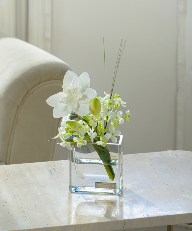 ユーチャリスXS25