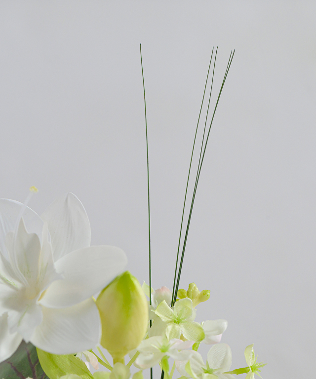 ユーチャリスXS25