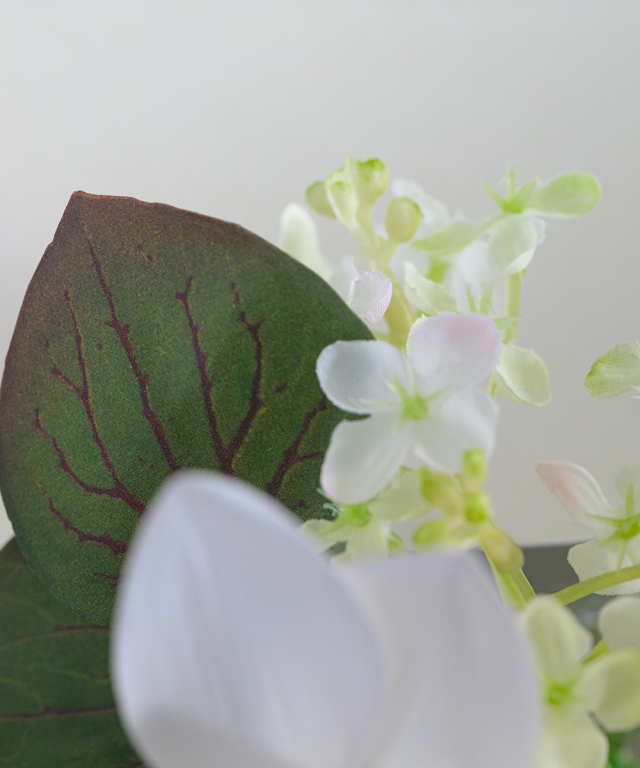 ユーチャリスXS25