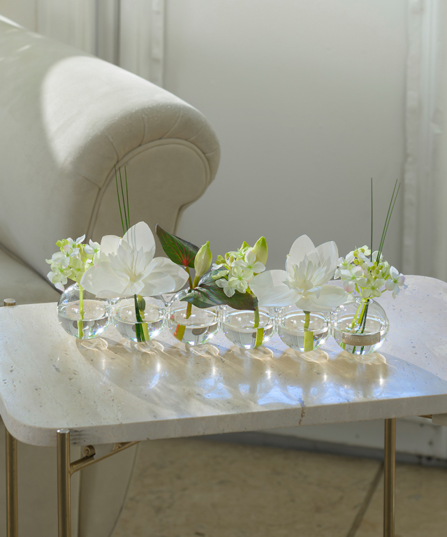 ユーチャリス6W25