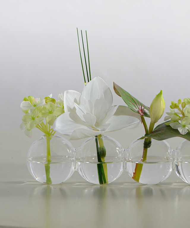 ユーチャリス6W25