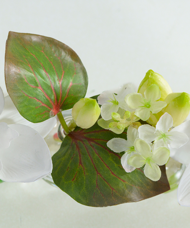 ユーチャリス6W25