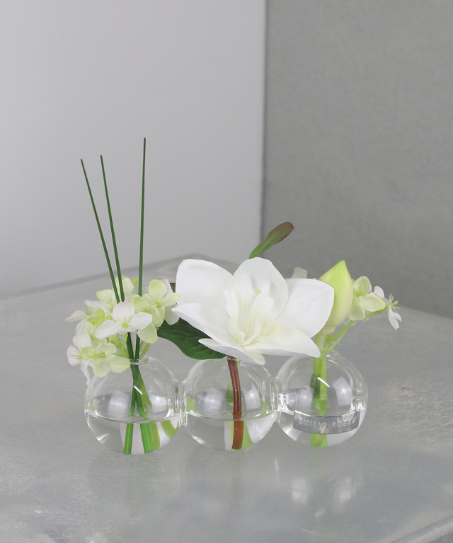 ユーチャリス3W24