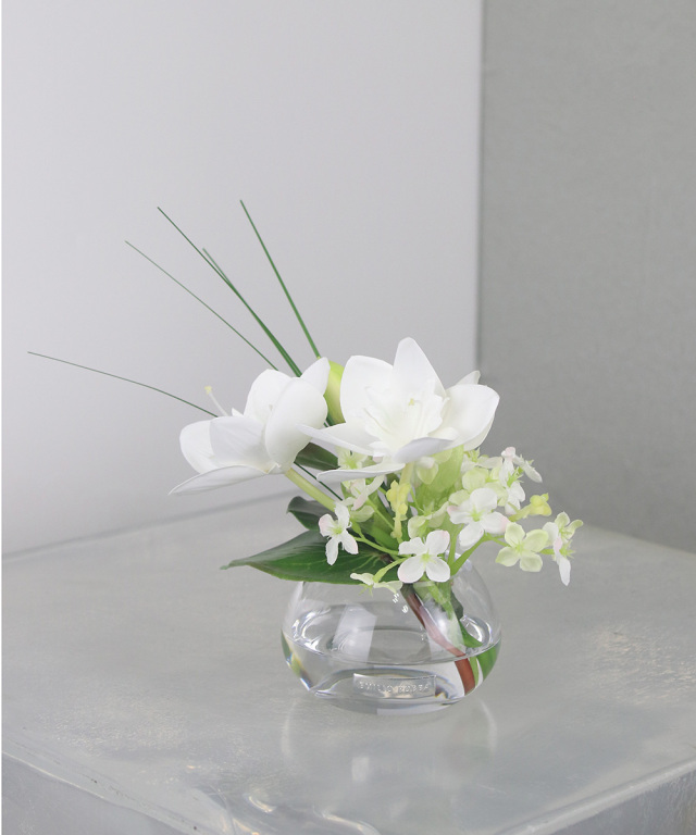 ユーチャリスS24