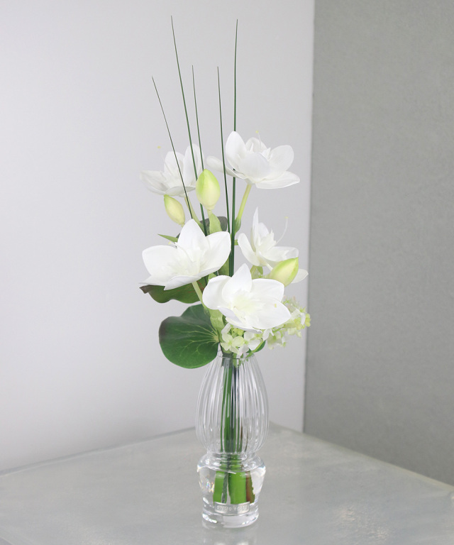 ユーチャリスM24