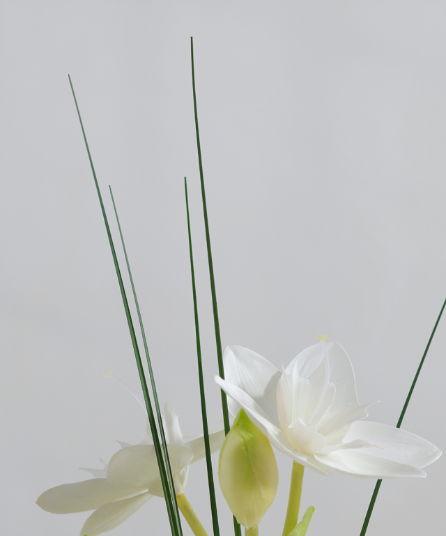 ユーチャリスM24 春 ギフト お祝い お供え アーティフィシャルフラワー