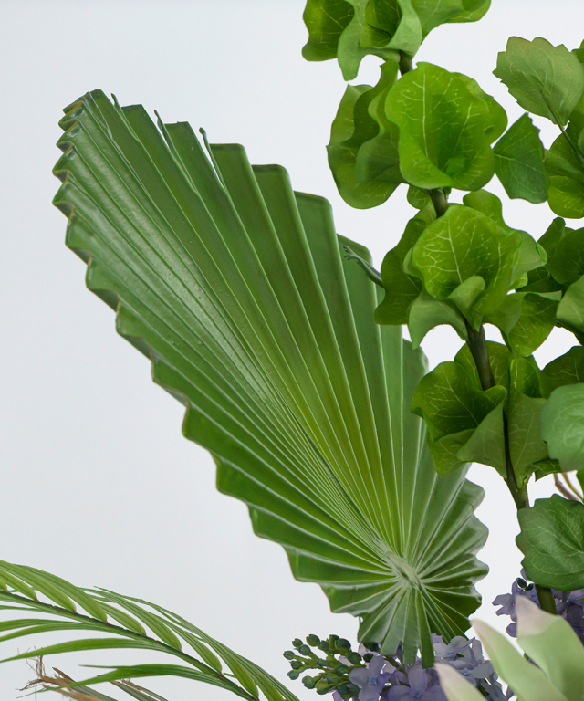エミリオロバ　多肉植物の寄せ植え（╹◡╹）♡ 大切な想いに エミリオ・ロバのお花をそえて フラワーギフトのご
