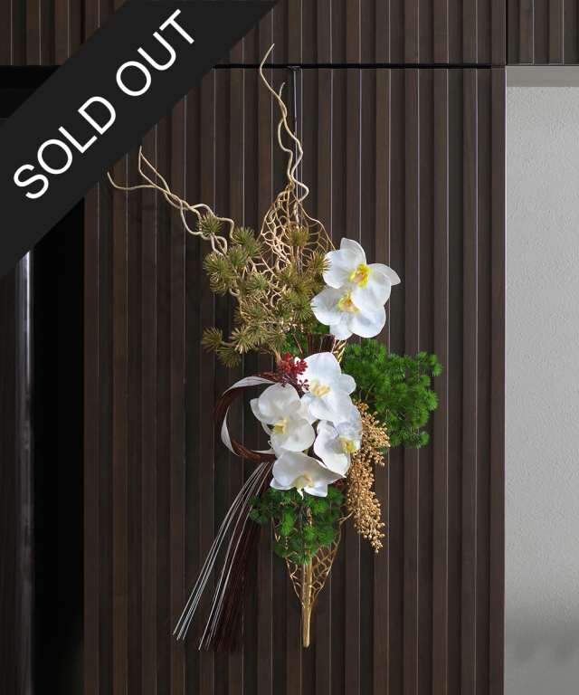 ファレノプシススワッグ2L24-wh