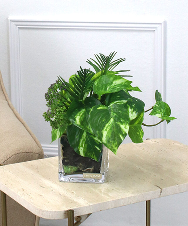 【期間限定】SDGsポトスポプリ