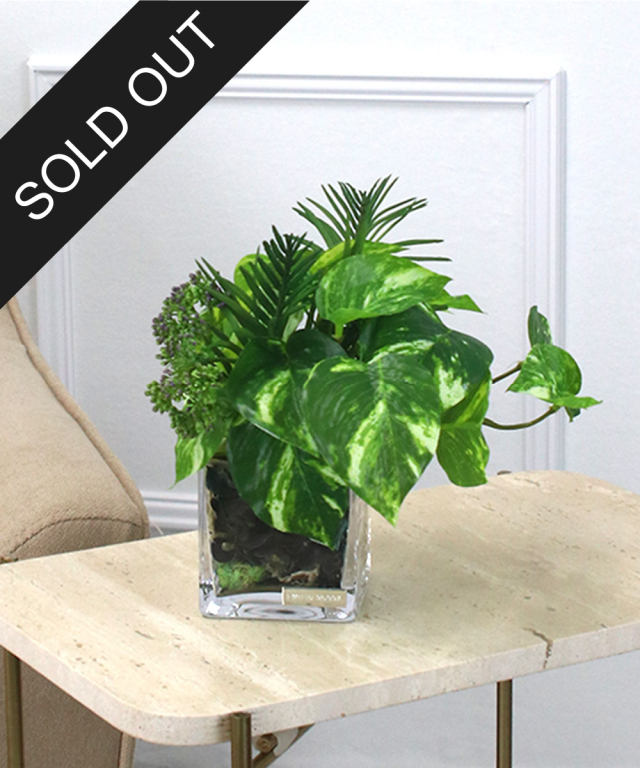 SDGsポトスポプリ