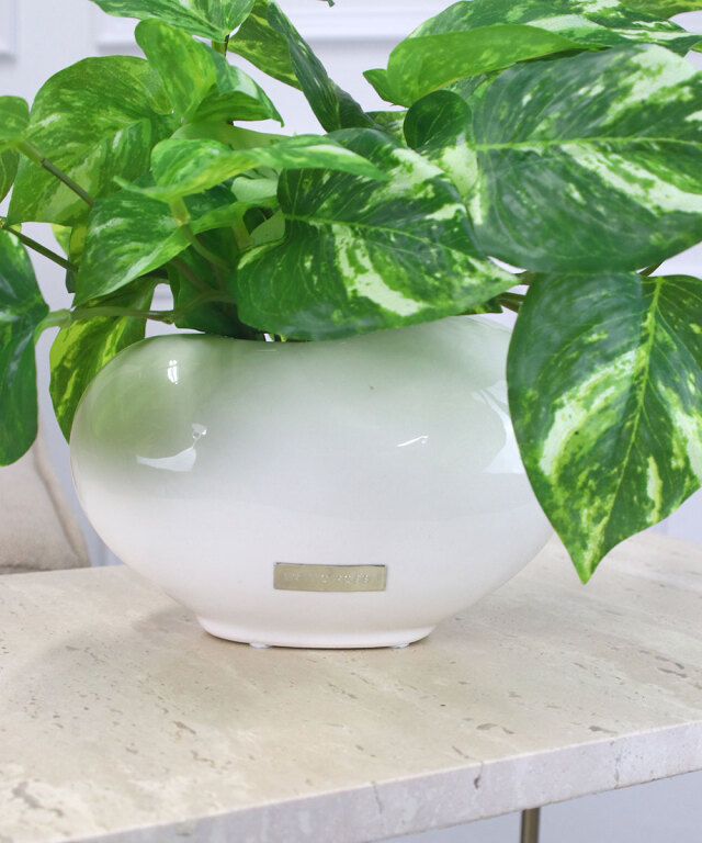 期間限定】SDGsポトス アートフラワー アーティフィシャルフラワー