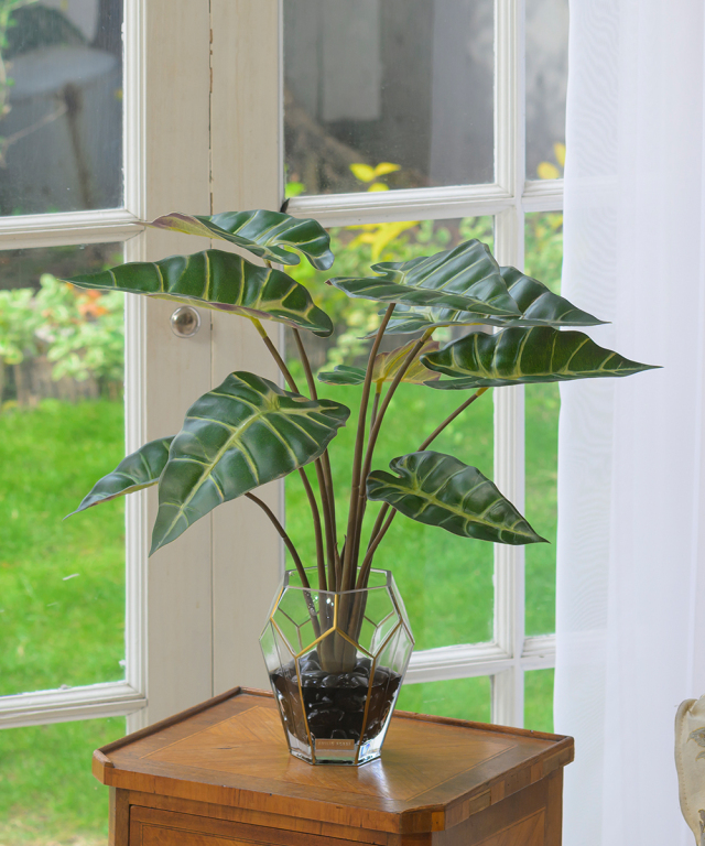 20,000円~ エミリオ・ロバ（アートフラワー）