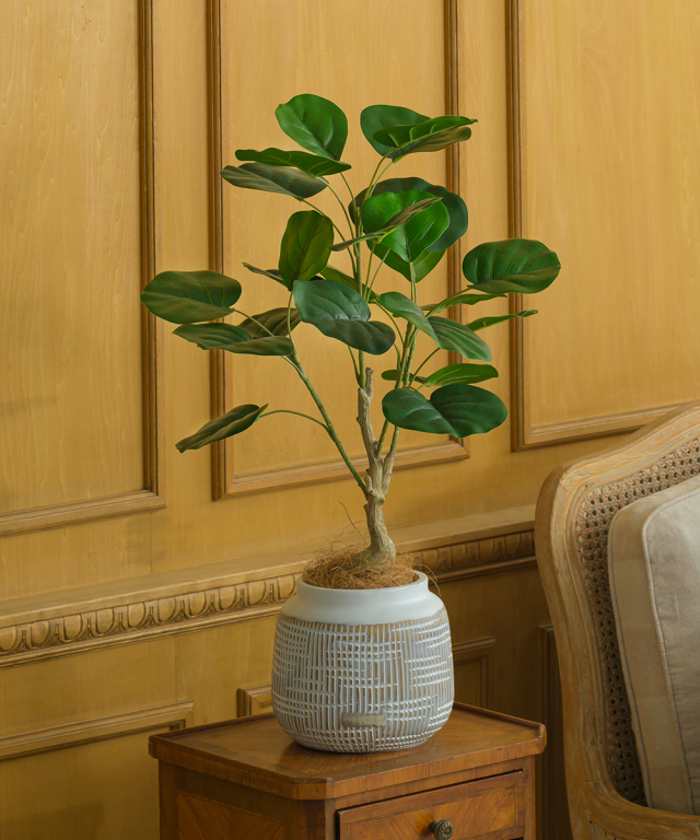 20,000円~ エミリオ・ロバ（アートフラワー）