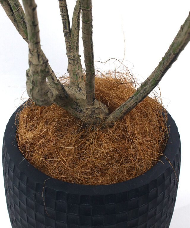 展示品■エミリオロバ■フェイクグリーン■人工観葉植物■ドラセナ系■造花 EMILIO ROBBA DRACAENA / エミリオロバ ドラセナ - インテリア・家具