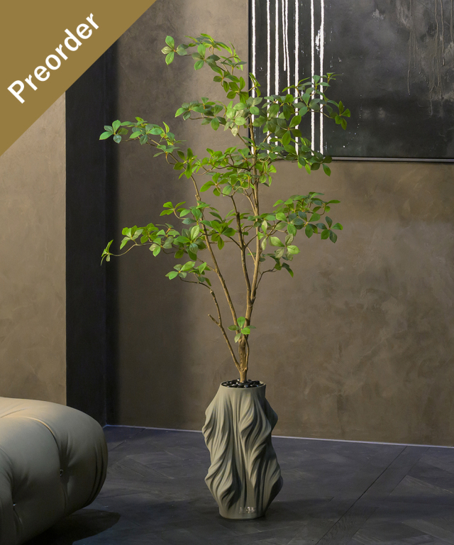 【先行予約】サラサドウダン4L26