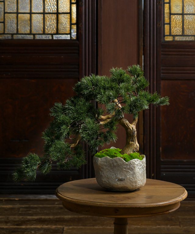 BONSAI2L26-b