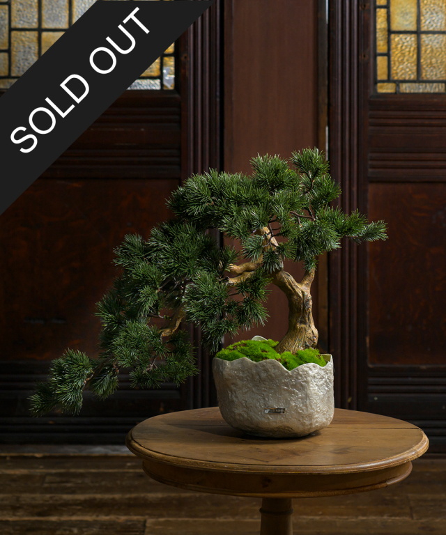BONSAI2L26-b