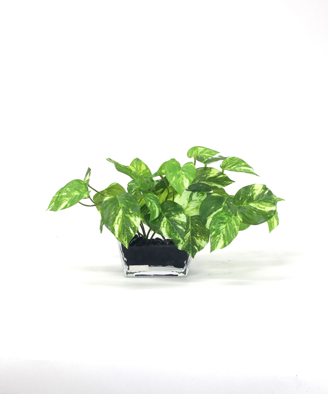 新品 EMILIO ROBBA エミリオロバ ポトスS 楽天市場】観葉植物 ポトスS 造花 インテリア おしゃれ 小さめ