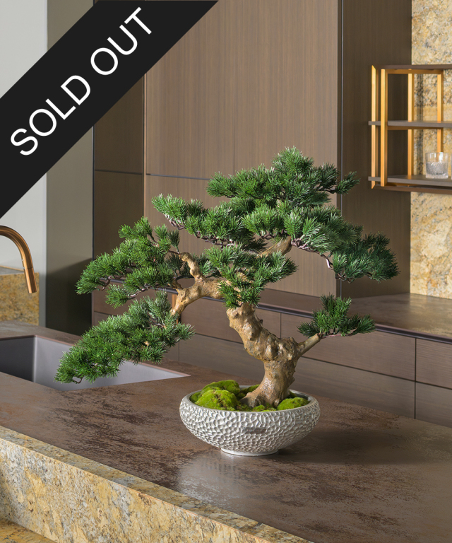 Bonsaï 3L25