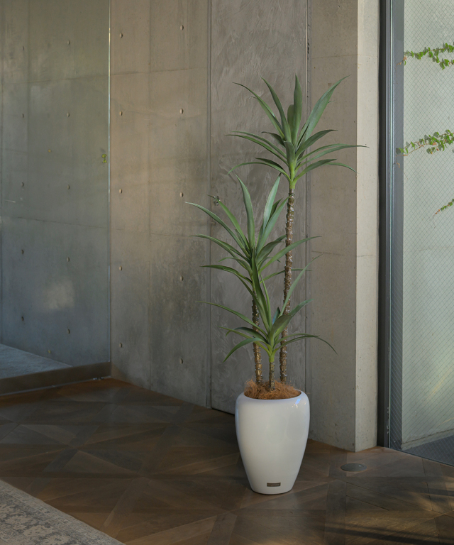 ユッカラン アーティフィシャルグリーン 観葉植物 ギフト プレゼント