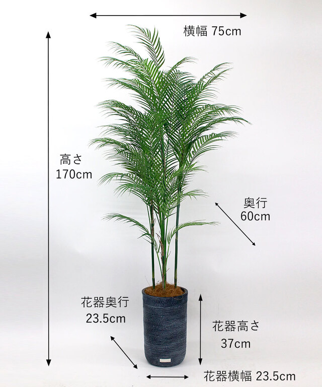 ツピタンサス2L26 アートグリーン アーティフィシャルグリーン ギフト