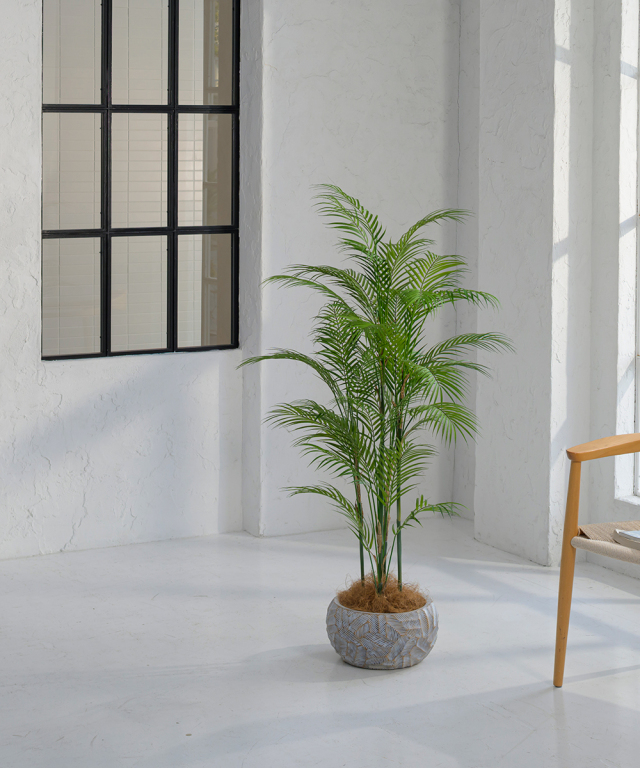 【新品！即日発送】●●EMILIO ROBBA●●鉢植え　アジアンタム●グリーン EMILIO ROBBA ADIANTUM / エミリオロバ アジアンタム