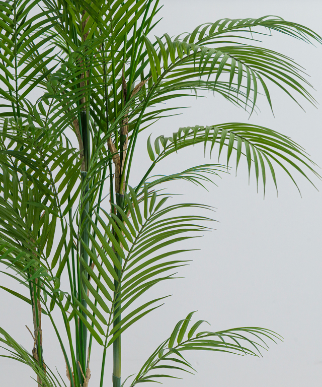 アーティフィシャルグリーン パーム 観葉植物 インテリア お祝い