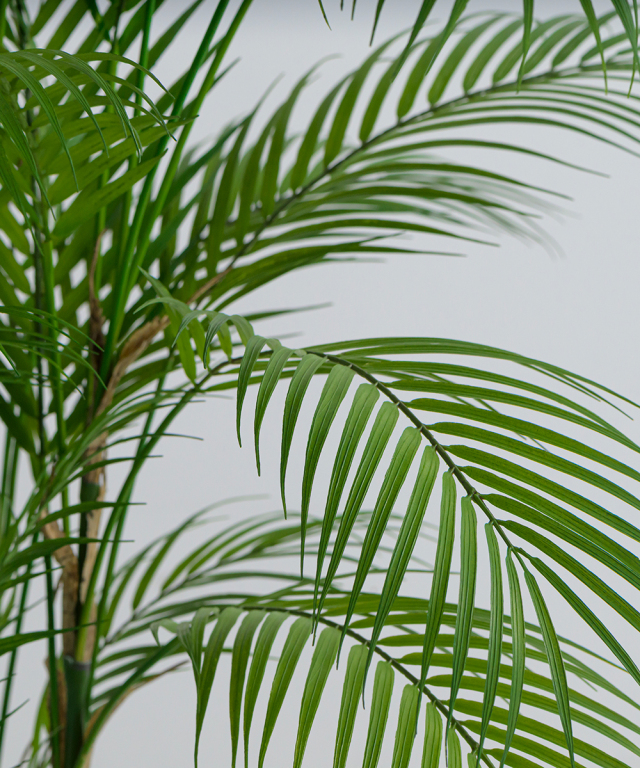 アーティフィシャルグリーン パーム 観葉植物 インテリア お祝い