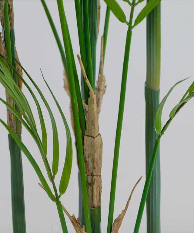 エミリオロバ　フェイクグリーン　パーム パーム4L アーティフィシャルグリーン 観葉植物 ギフト プレゼント お祝い