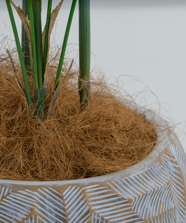 アーティフィシャルグリーン パーム 観葉植物 インテリア お祝い