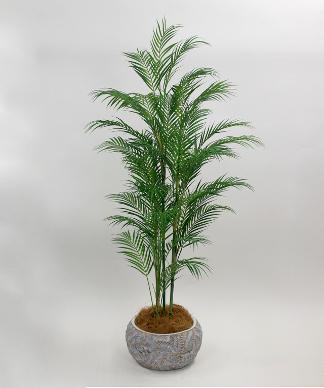 TUTTJ38400_6.jpg?t=20230130150317