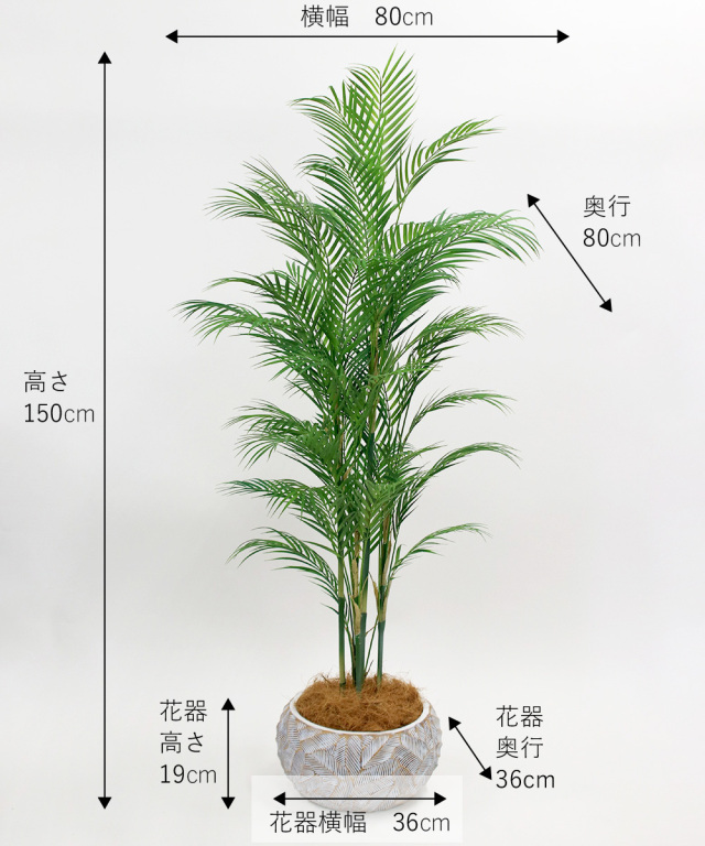 TUTTJ38400_size.jpg?t=