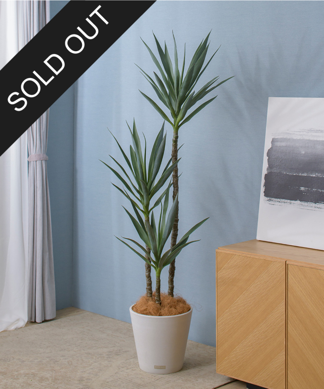 アーティフィシャルグリーン(観葉植物)の造花通販｜エミリオ・ロバ公式  