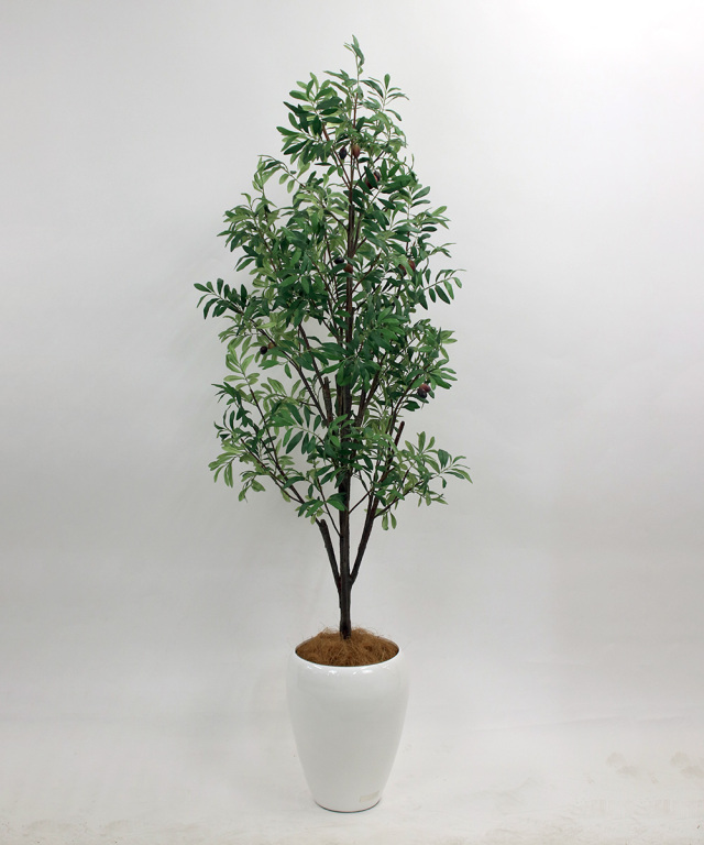 エミリオロバ  アートグリーン Emilio Robba BIOPHILIA 暮らしにgreenの安らぎを #アートグリーン