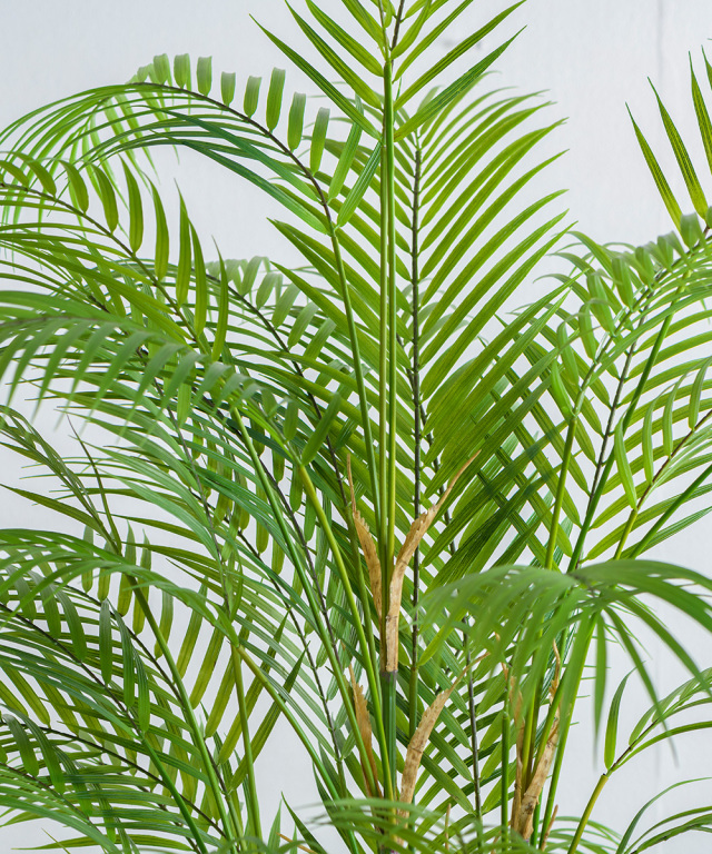 パーム4L アーティフィシャルグリーン 観葉植物 ギフト プレゼント お祝い