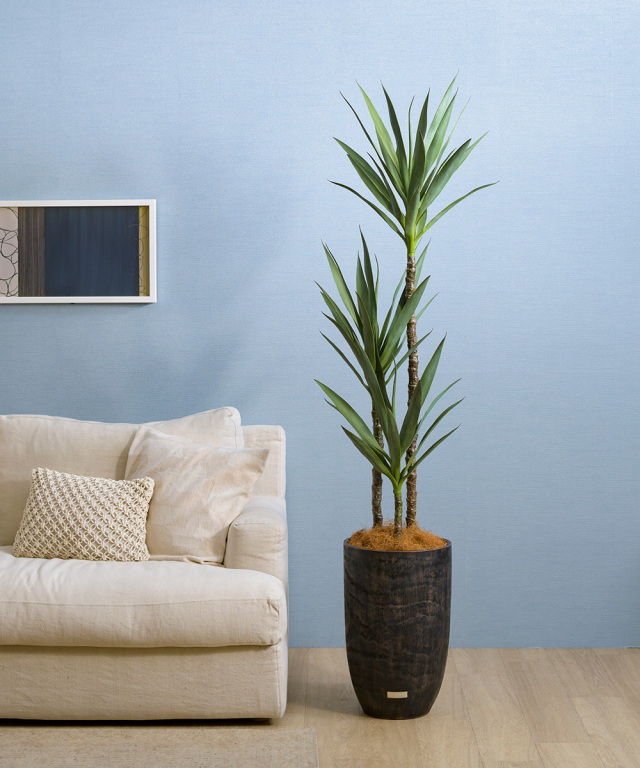 ユッカラン4L アーティフィシャルグリーン 観葉植物 ギフト プレゼント