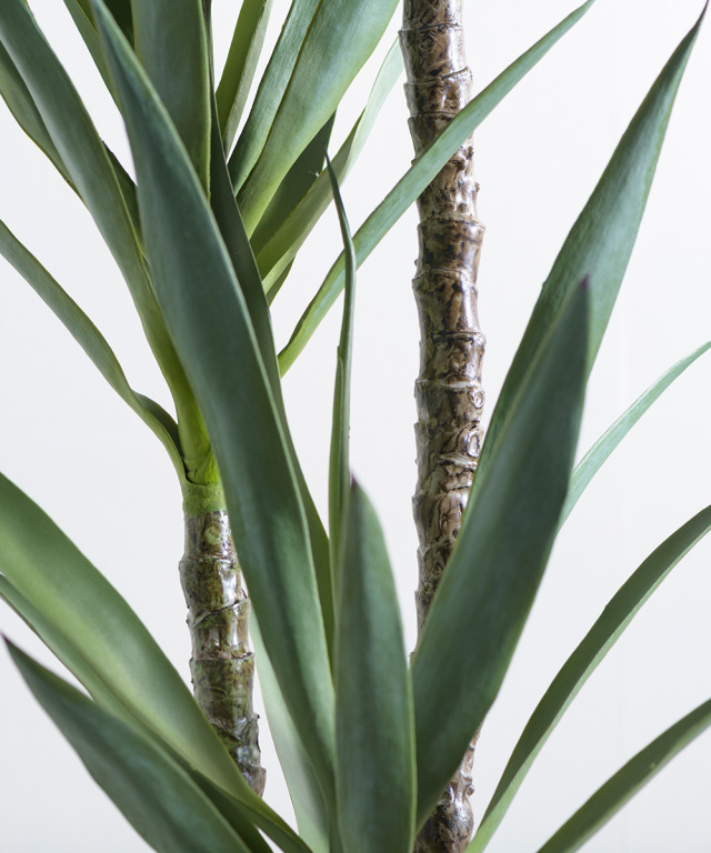 ユッカラン4L アーティフィシャルグリーン 観葉植物 ギフト プレゼント