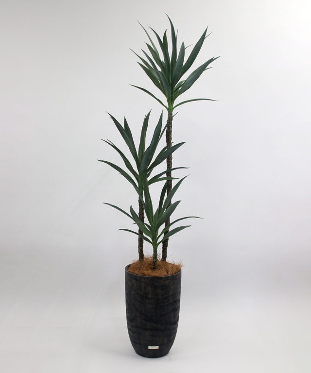 ユッカラン4L アーティフィシャルグリーン 観葉植物 ギフト プレゼント