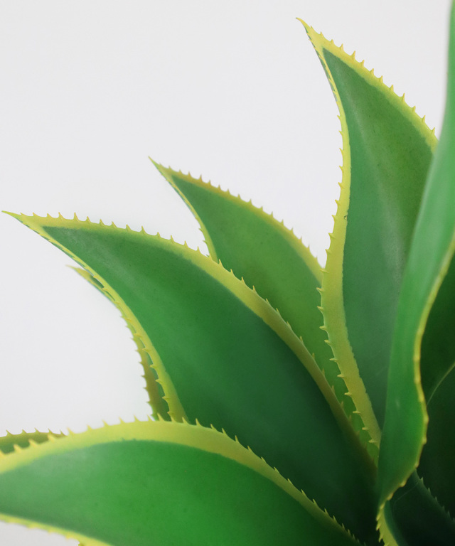 アガベ(トール) アーティフィシャルグリーン 観葉植物 インテリア