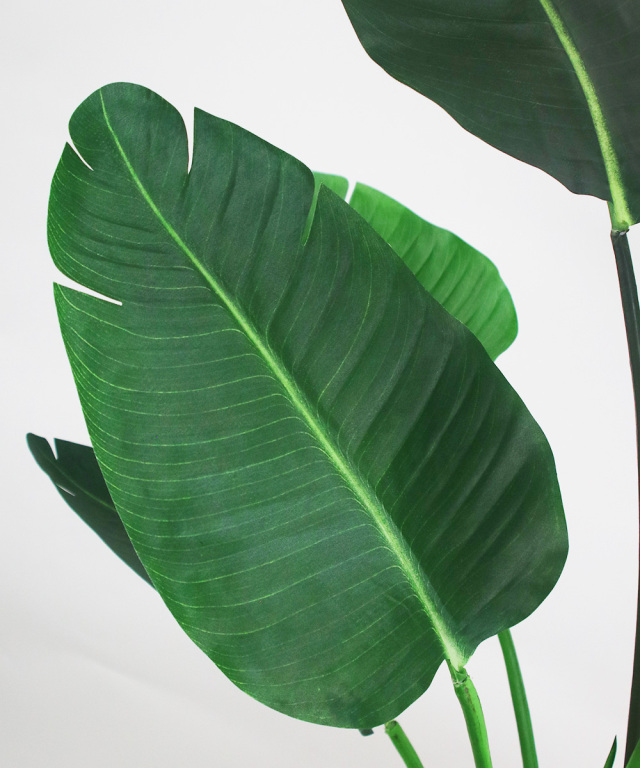 オーガスタ アーティフィシャルグリーン 観葉植物 ギフト プレゼント